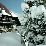 Hotel Hofgut Hohenkarpfen 3*
