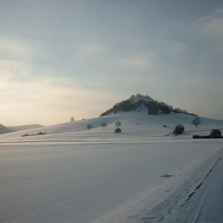 Hofgut Hohenkarpfen Hotel 3*