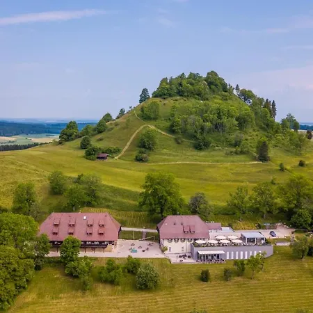 Hotel Hofgut Hohenkarpfen 3*
