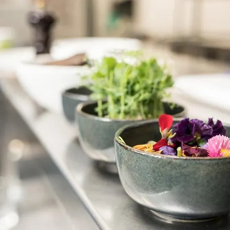 Hotel Hofgut Hohenkarpfen