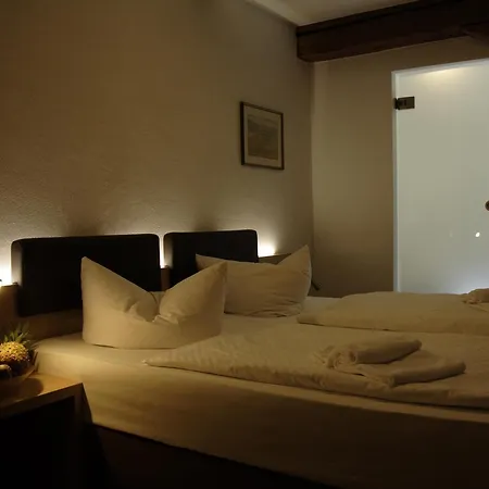 Hofgut Hohenkarpfen Hotel 3*