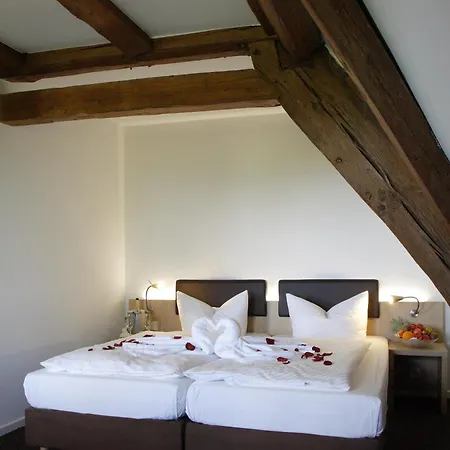 Hofgut Hohenkarpfen Hotel 3*