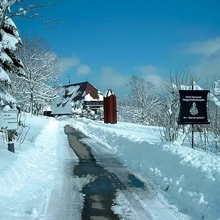 Hotel Hofgut Hohenkarpfen Hausen ob Verena