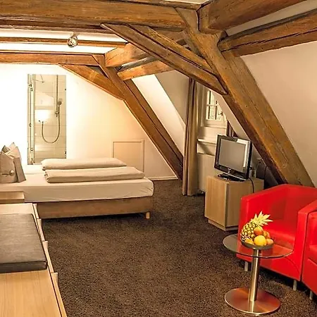 Hofgut Hohenkarpfen Hotel 3*
