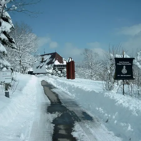 Hofgut Hohenkarpfen ホテル