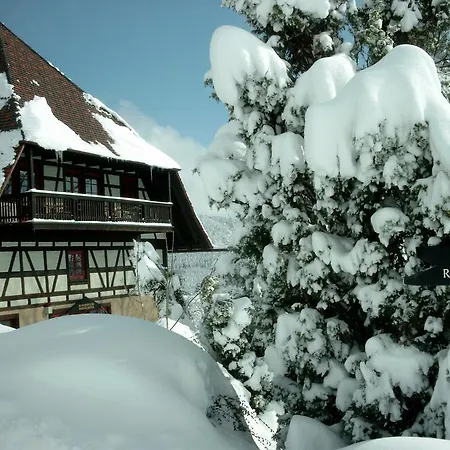 Hotel Hofgut Hohenkarpfen 3*